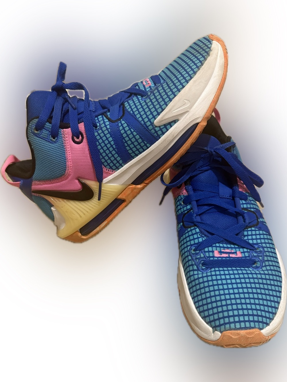 Nike LeBron Witness 7 court shoes